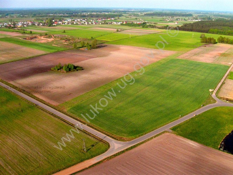 Lazy TSSE foto_4.jpg